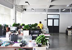 ES Special Artwork Design Service (Baoding) Factory