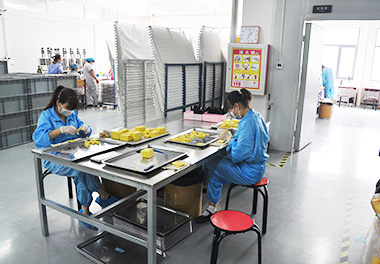 Processing Department